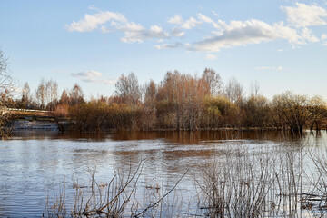 High water on a river or on a lake in sunny spring day