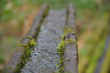 stream of water on a wooden gutter in the woods