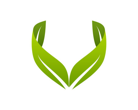 V letter green leaf logo template