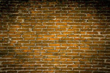 The background is an old brick wall. The wall is made of red ceramic bricks