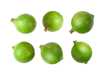 Macadamia nuts on white