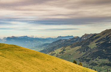 Bergwiese oberhalb von Adelboden im Berner Oberland