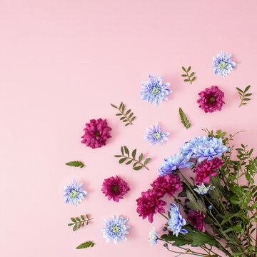 Bouquet of fresh Spring colorful flowers and leaves  with copy space. Creative plant, floral concept on pastel pink background.