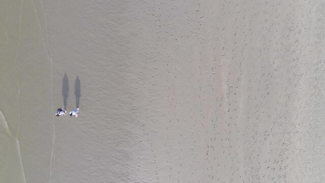 People Walking On Sandy Seaside Of North Sea At Belgian Coast During Sunny Summertime. - Aerial Topdown