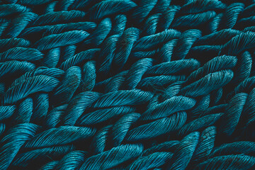 closeup blue rope