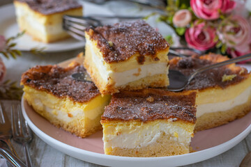 Traditional german rustic cake - Dresdner Eierschegge