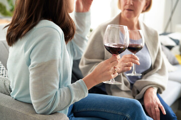 Close up of two women drinking wine at home