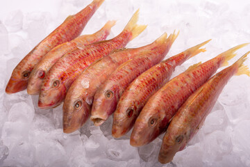 fresh fish on the market