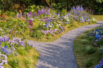 path leading through a flower garden with delphinium high inflorescences violet flowers.