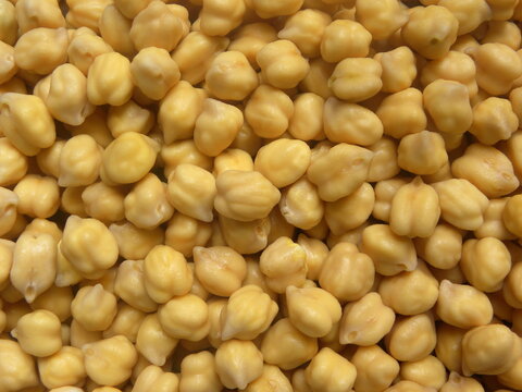 Raw whole soaked Chickpeas