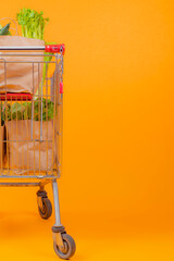 Half of a shopping cart isolated on orange background with fresh vegetables in paper bags on the left side of the frame.