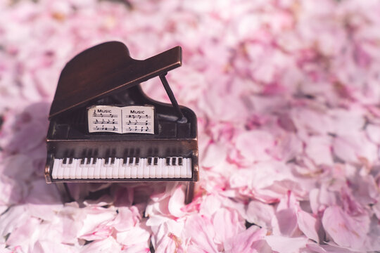 桜の花びらとピアノ