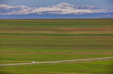 Plowed fields in spring with a condensed perspective