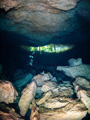 Opening of a stalactite underwater cave (Cenote Chikin Ha, Playa del Carmen, Quintana Roo, Mexico)