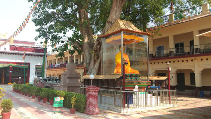 Chenmo trust with buddha in Sarnath Varanasi U.P. India