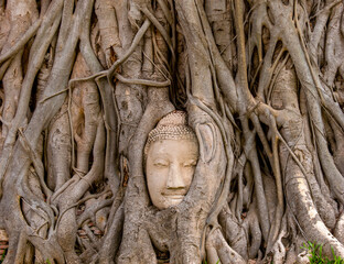 Travel in Thailand. The ancient sandstone buddha head with the rood of the bodhi tree at Mahathat temple at Ayutthaya.