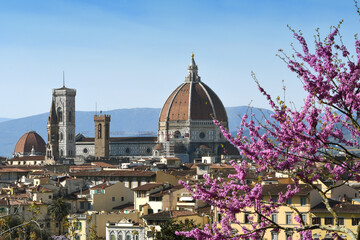Fototapeta na wymiar Beautiful view of the Cathedral of Santa Maria del Fiore in Florence with flowering judas tree in spring. Italy