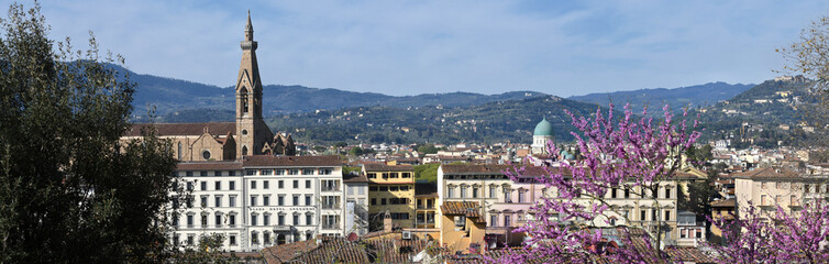 Fototapeta na wymiar Beautiful Cityscape of Florence with Basilica of the Holy Cross and Synagogue with flowering judas tree in spring. Italy