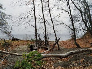 Deserted and wild bank of the Volga on a cloudy autumn day