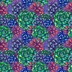 Succulent Seamless Pattern Digital Hand Drawn Illustration Purple Field with Aloe and Echeveria Pachyphytum. Design for surface design, fabric, wrapping paper, background