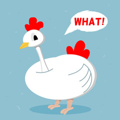 Indignant chicken