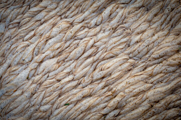 Close-up Texture Sponges on the water surface of the river after rain leach the soil surface into the river. It looks like coffee froth.