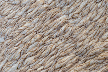 Close-up Texture Sponges on the water surface of the river after rain leach the soil surface into the river. It looks like coffee froth.