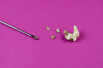 Large animal tooth, plaque and dental scraper on magenta backgro