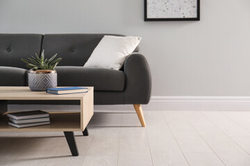 Stylish living room interior with comfortable grey sofa and beautiful plant