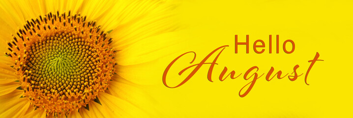 Hello August. Beautiful bright sunflower on yellow background, closeup © New Africa
