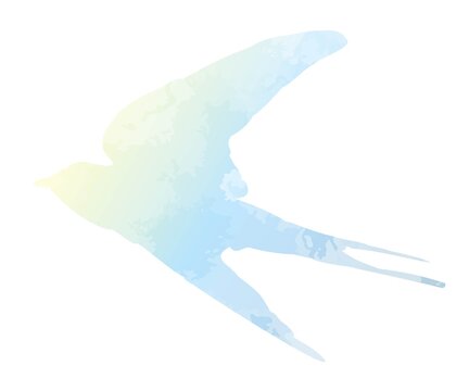 燕 ツバメ シルエット 空 水彩風 イラストカット 