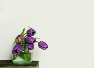 Bouquet of purple tulips on a light background