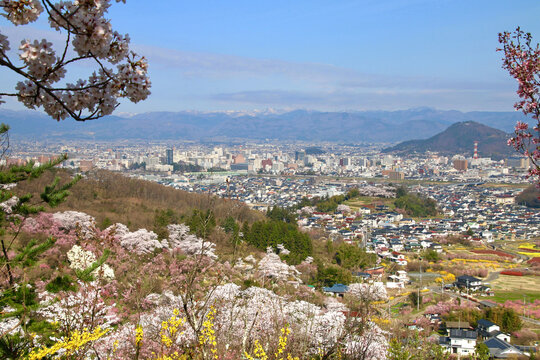 257 最適な 花見山 桜 画像 ストック写真 ベクター Adobe Stock