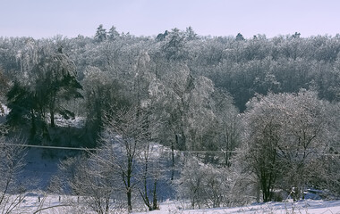Winter forest landscape in snow and ice. Blue winter sky