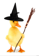 Cute cool duckling scary witch duck with broom funny conceptual image