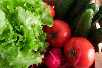 Fresh vegetables full of vitamins and nutrients, plucked in your garden for a salad
