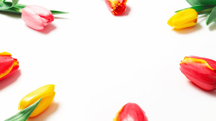 Spring morning concept. Flat flowers on white background, top view with space for your text