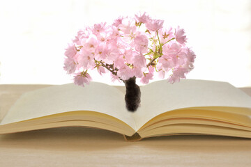 開いた本　桜の花が咲く