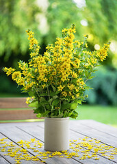 Beautiful yellow loosestrife flowers in vase on the garden table in sunny summer day. (Lysimachia...