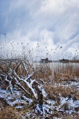 Wilde Natur am Seeufer