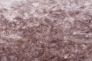 Brown Tree Bark Texture Background