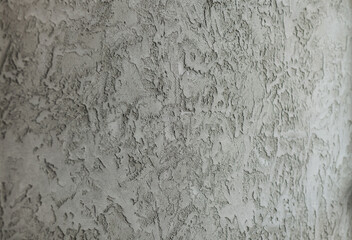 texture of an old gray concrete wall for the background. The cement wall is an abstract gray color. plaster
