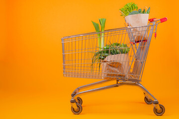 Shopping bags with veggies in side shopping cart isolated on orange background
