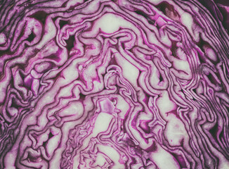 A slice of red raw cabbage. Abstract vegetable background