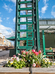 Entrance to summer garden, decorated with planted flowers