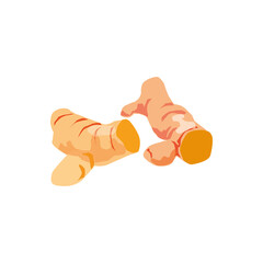 Turmeric, spices, vector illustration, white background 