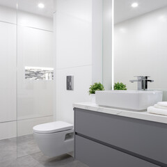 Elegant gray and white bathroom