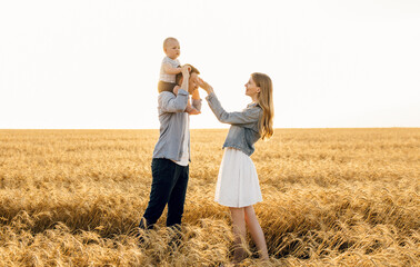 Happy family, Mother, father and son walk in the wheat field and enjoy