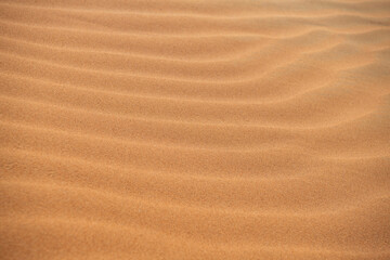 Desert. Sand dune. Sand texture. Wave pattern on the surface of the dune. Minimalism. Solid orange color palette. Grains of sand. Sandstone. No noise