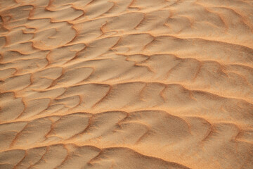 Fototapeta premium Desert. Sand dune. Sand texture. Wave pattern on the surface of the dune. Minimalism. Solid orange color palette. Grains of sand. Sandstone. No noise